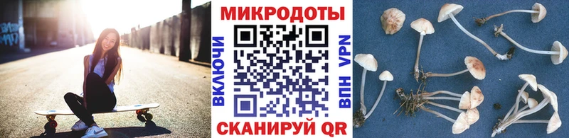 Галлюциногенные грибы Cubensis  где купить   Разумное 